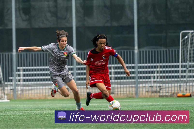 多媒体互动体验